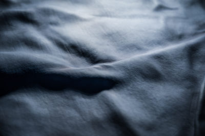 Wet-Blue Hides
