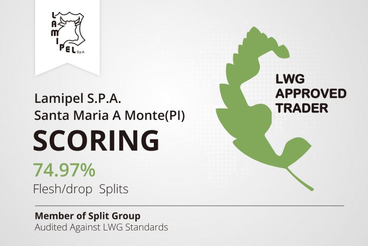 Lamipel SpA Santa Maria a Monte LWG Audited